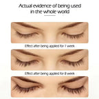 Natural Eyelash Growth Serum and Eyebrow Growth Serum for Fuller Lash and Brow Care